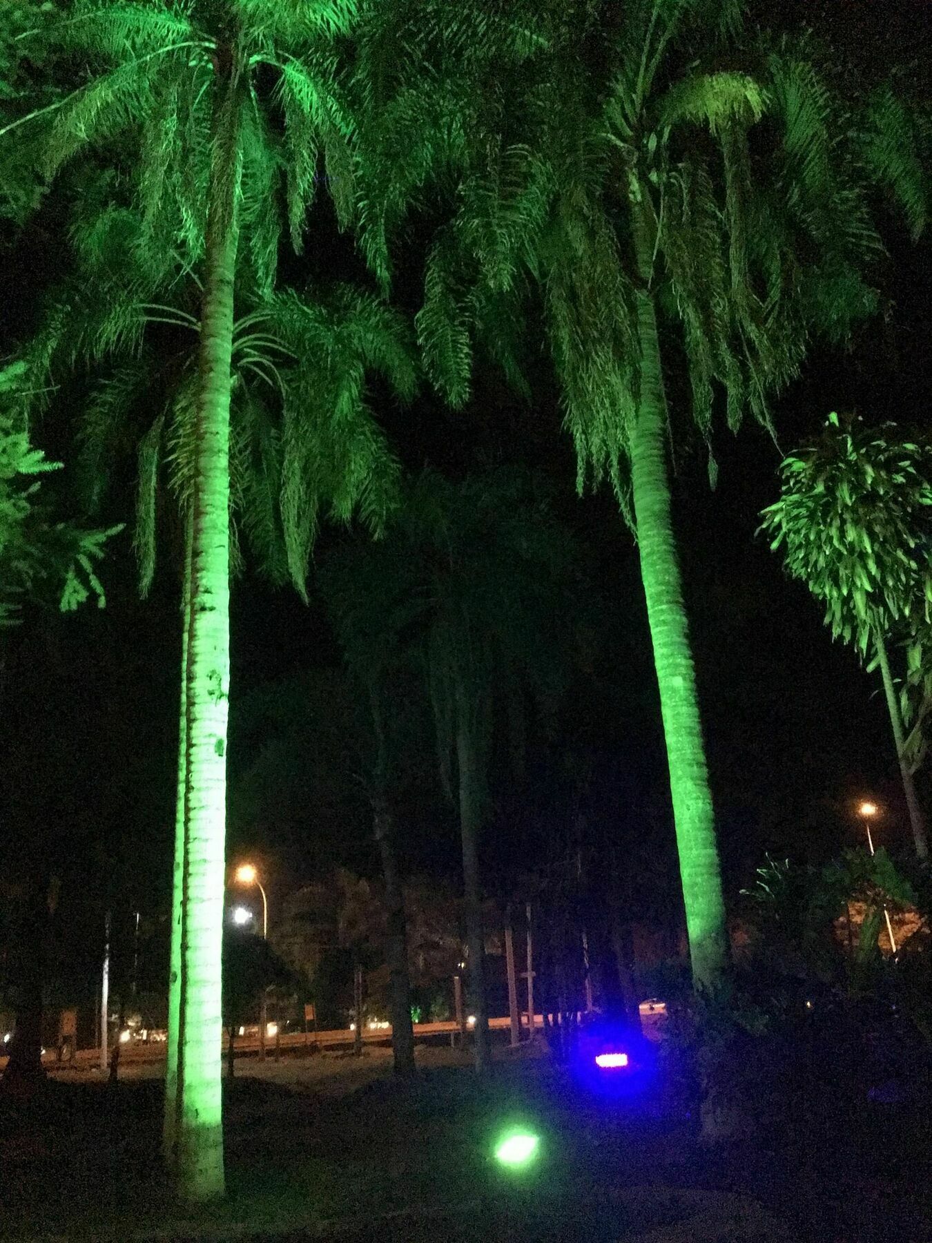 Tangoinn Club Iguazu Party Luxury Hostel プエルト・イグアス エクステリア 写真